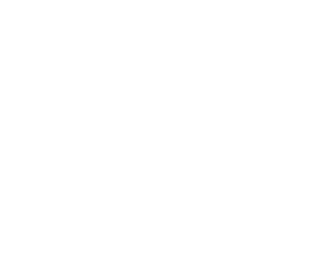 Customs Clearance