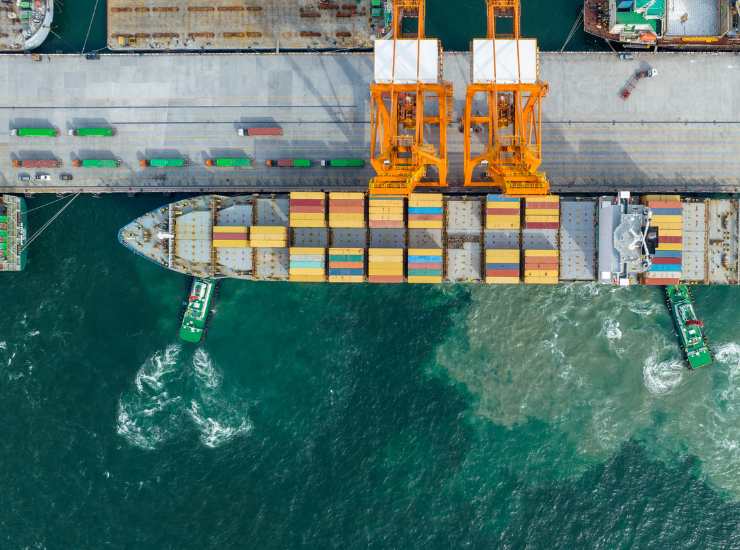 Step-by-step customs clearance process flowchart showing CUSDEC submission to cargo release in Sri Lanka